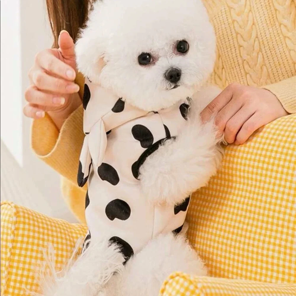 HP 🎉 Cow Pattern Pet Jacket SIZE L